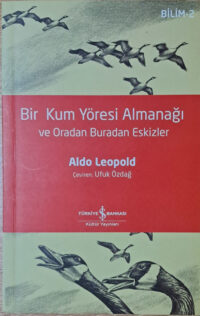 bir-kum-yoresi-almanagi-ve-oradan-buradan-eskizler