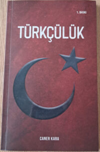 türkçülük